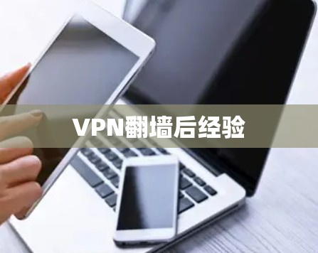 VPN翻墙后经验 VPN翻墙后经验
